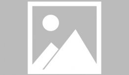 红色追击令电视剧,烽火岁月里的忠诚与信仰